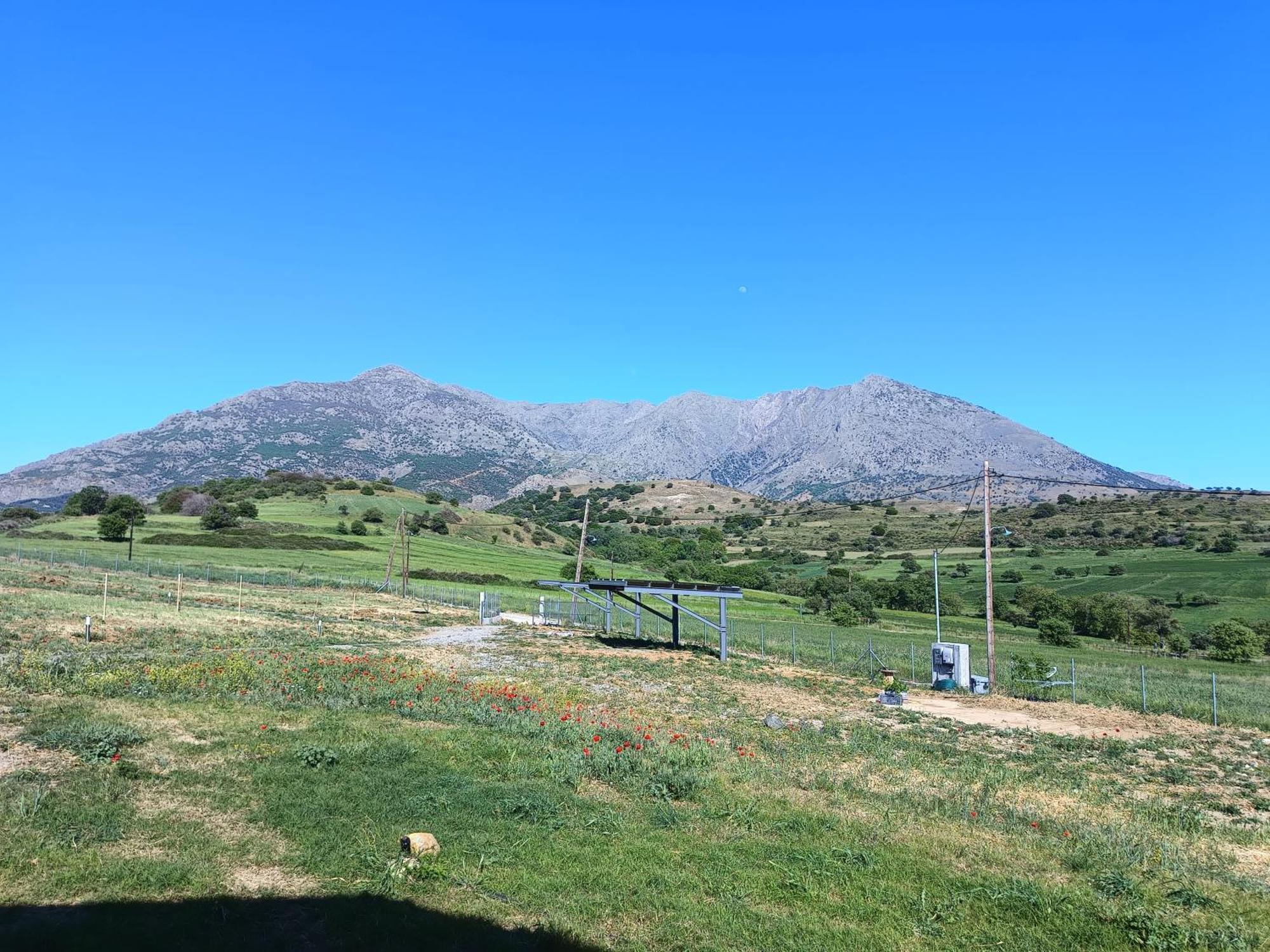 Pezoulia Cottages Σαμοθράκη Εξωτερικό φωτογραφία